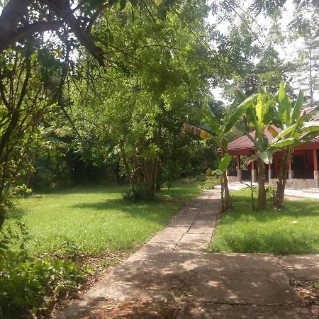 Big Foot Safari Lodge Wli Afegame Dış mekan fotoğraf