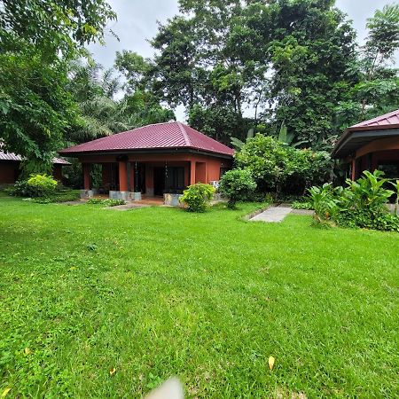 Big Foot Safari Lodge Wli Afegame Dış mekan fotoğraf