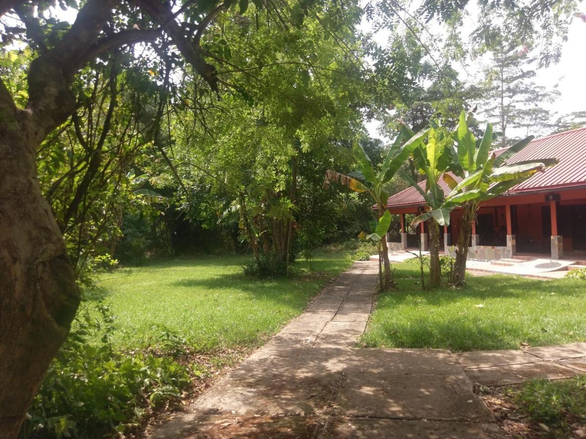 Big Foot Safari Lodge Wli Afegame Dış mekan fotoğraf