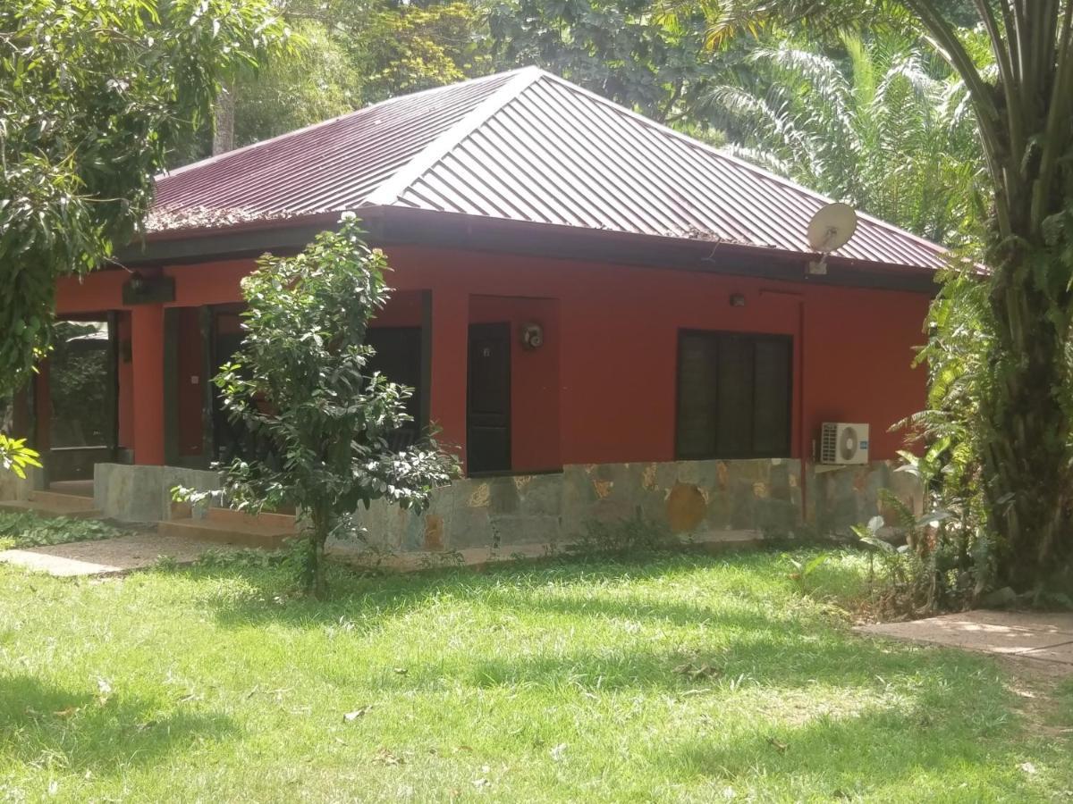 Big Foot Safari Lodge Wli Afegame Dış mekan fotoğraf