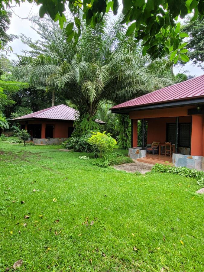 Big Foot Safari Lodge Wli Afegame Dış mekan fotoğraf