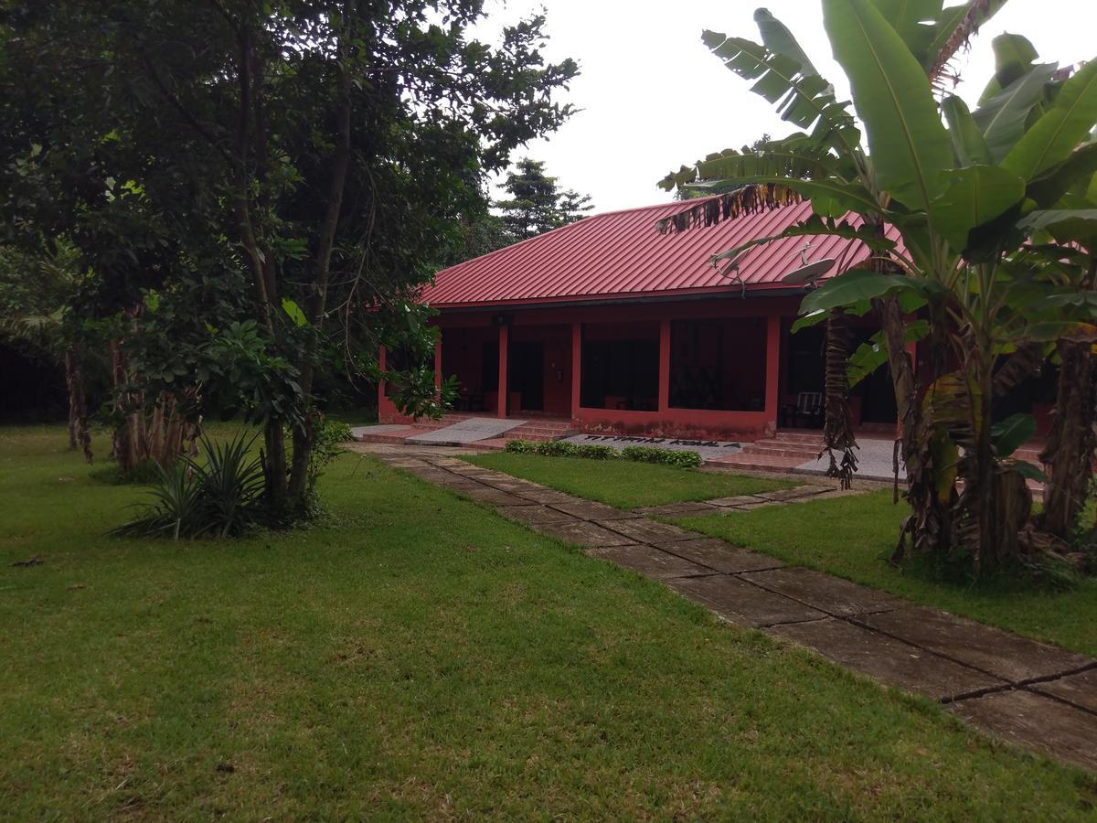Big Foot Safari Lodge Wli Afegame Dış mekan fotoğraf